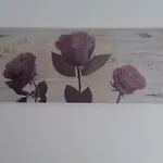 House Rose