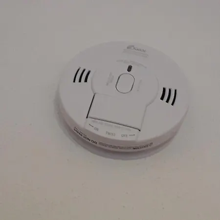 House Apartment Rose